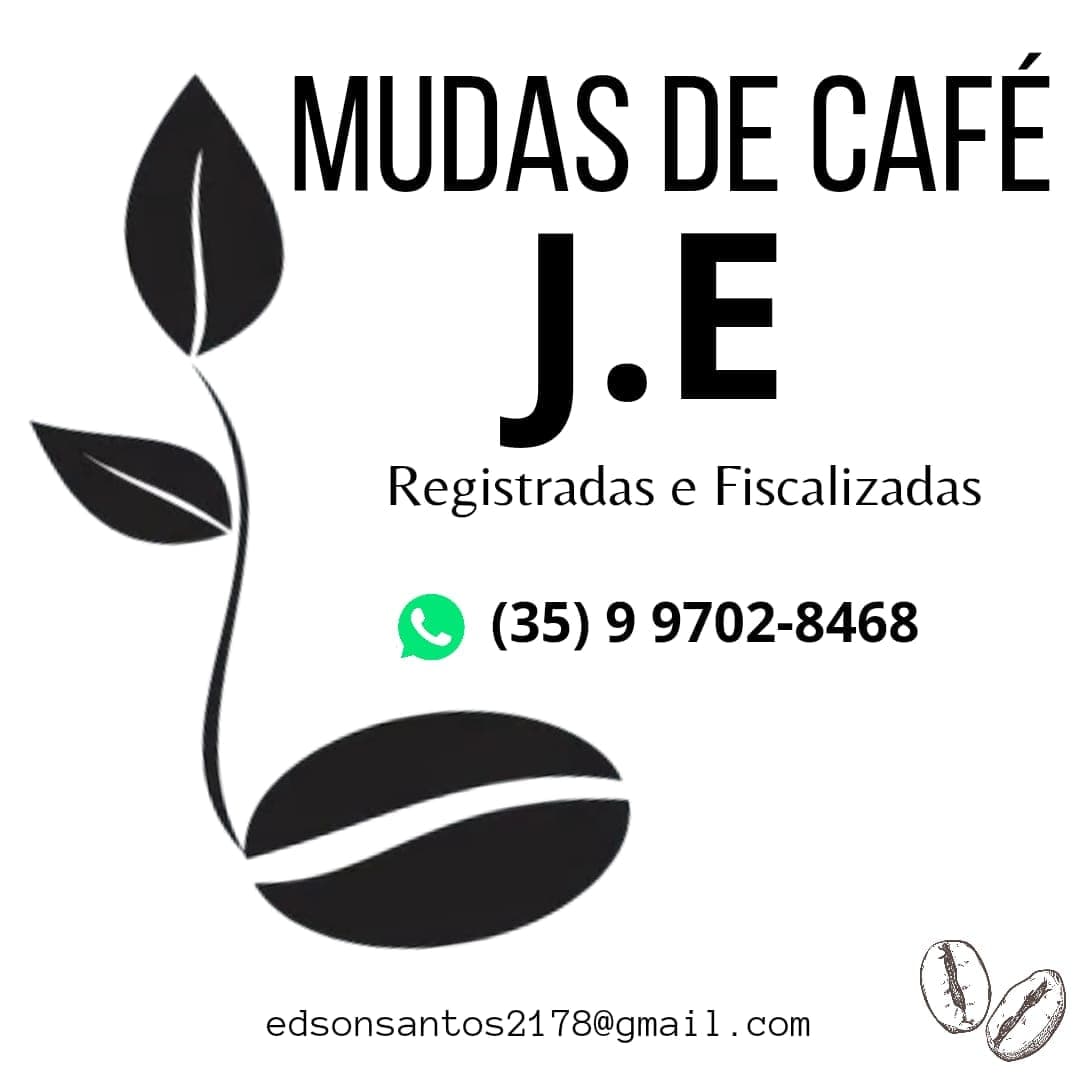 Cliente Ambiente Fácil