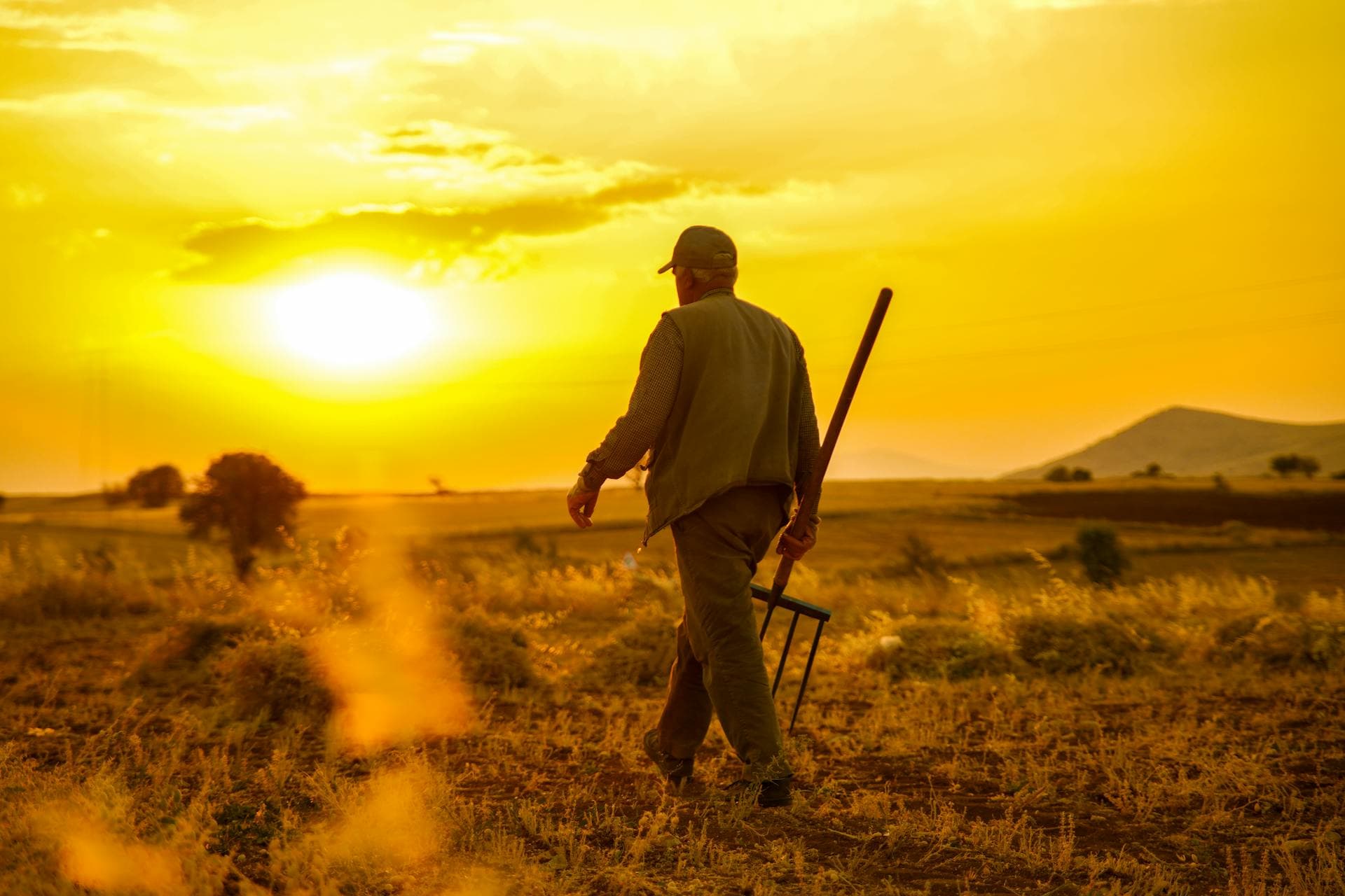 Produtor caminhando pela propriedade rural no Sul de Minas ao entardecer