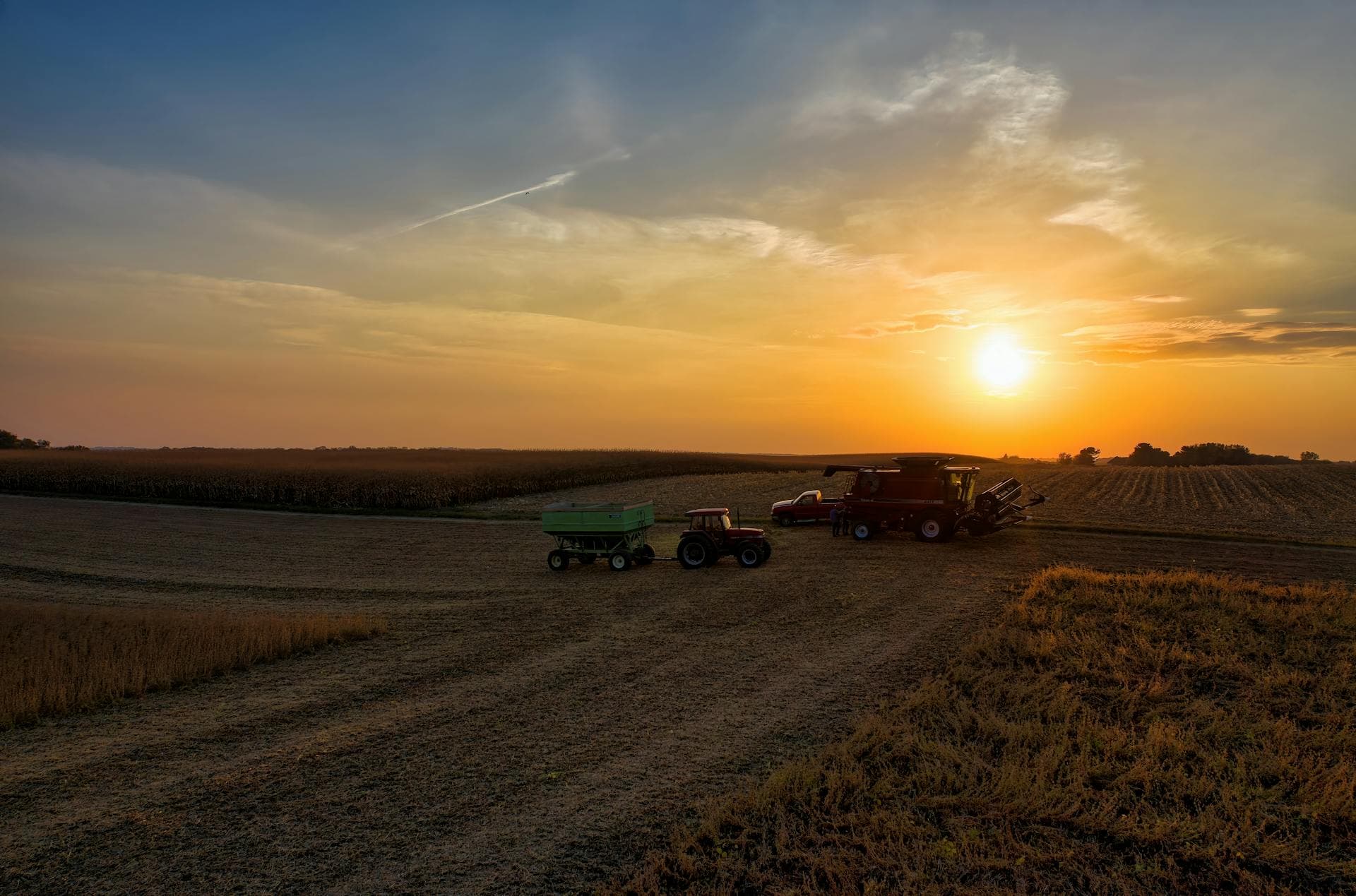 Colheita ao pôr do sol em propriedade rural